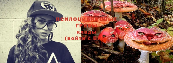 PSILOCYBIN Абинск